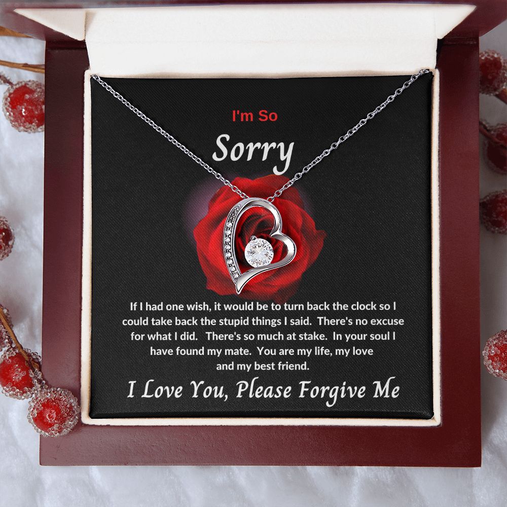 I'm So Sorry | Forever Love Necklace