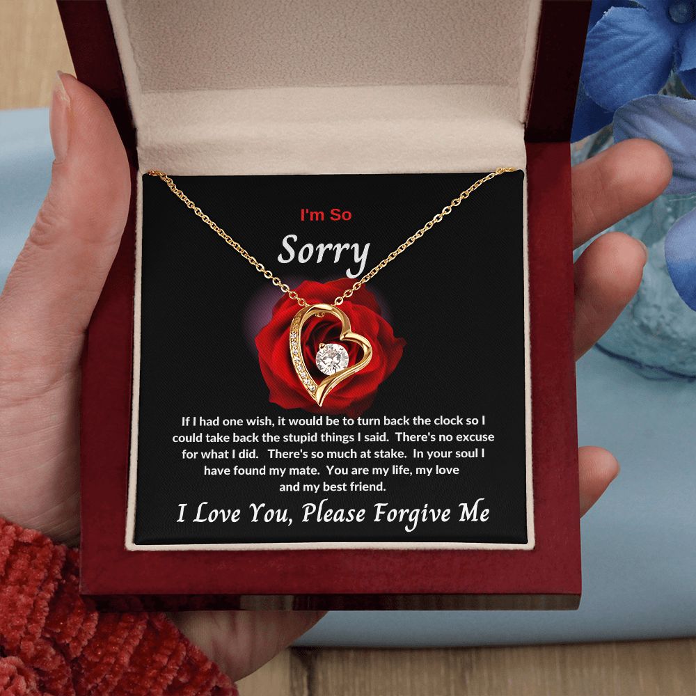 I'm So Sorry | Forever Love Necklace