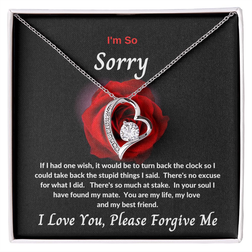 I'm So Sorry | Forever Love Necklace