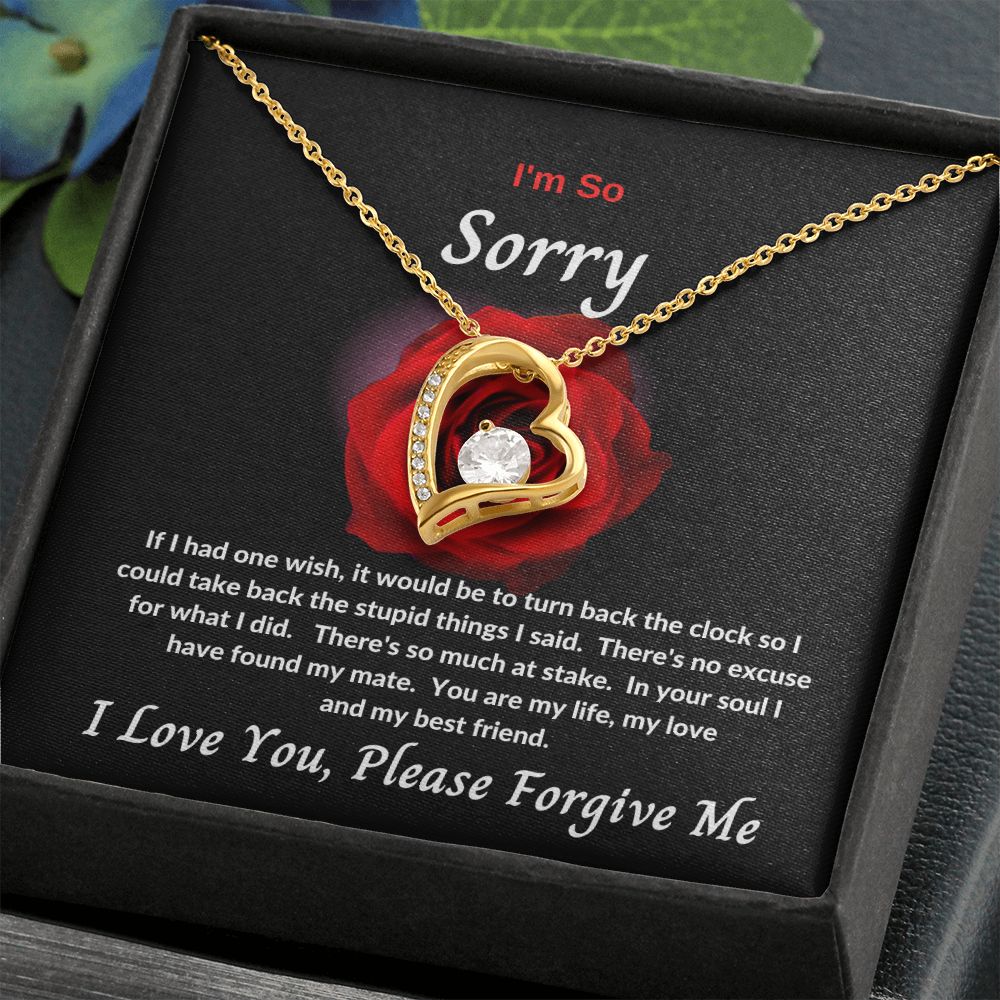 I'm So Sorry | Forever Love Necklace